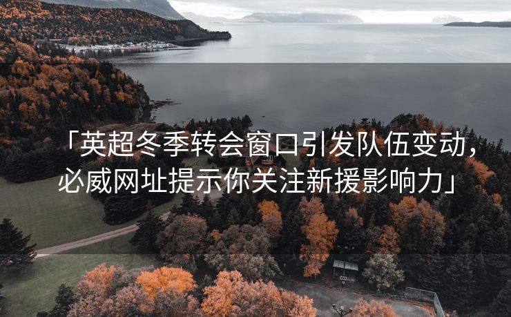 「英超冬季转会窗口引发队伍变动，必威网址提示你关注新援影响力」