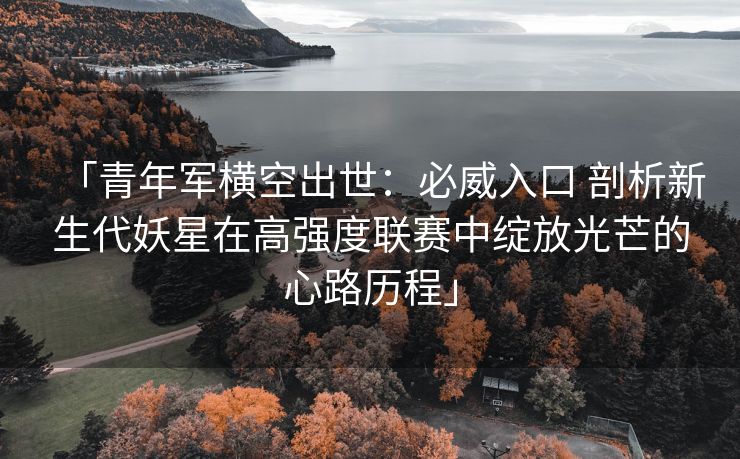 「青年军横空出世：必威入口 剖析新生代妖星在高强度联赛中绽放光芒的心路历程」